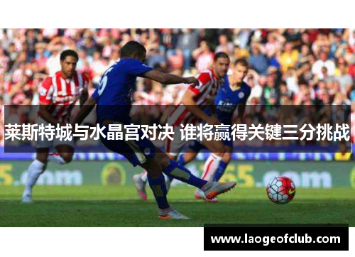 莱斯特城与水晶宫对决 谁将赢得关键三分挑战